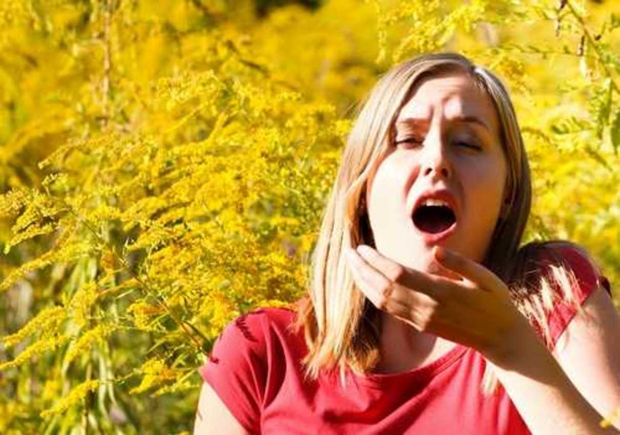 Seasonal Allergic Conjunctivitis (Hay Fever) for Contact Lens wearers