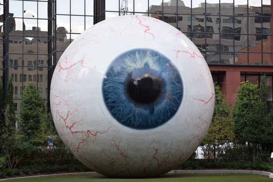 Anatomy of the eye | Diagram of the eye