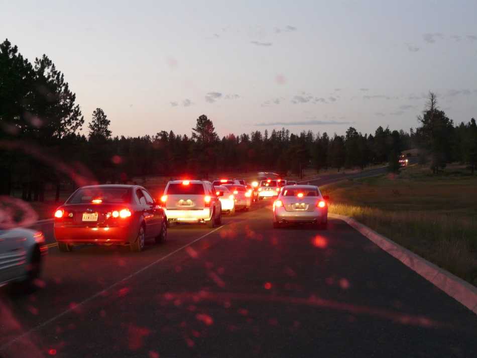 Night Driving Glasses: Fact or Fiction?