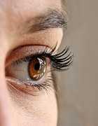 Everything You Need To Know About Hazel Eyes