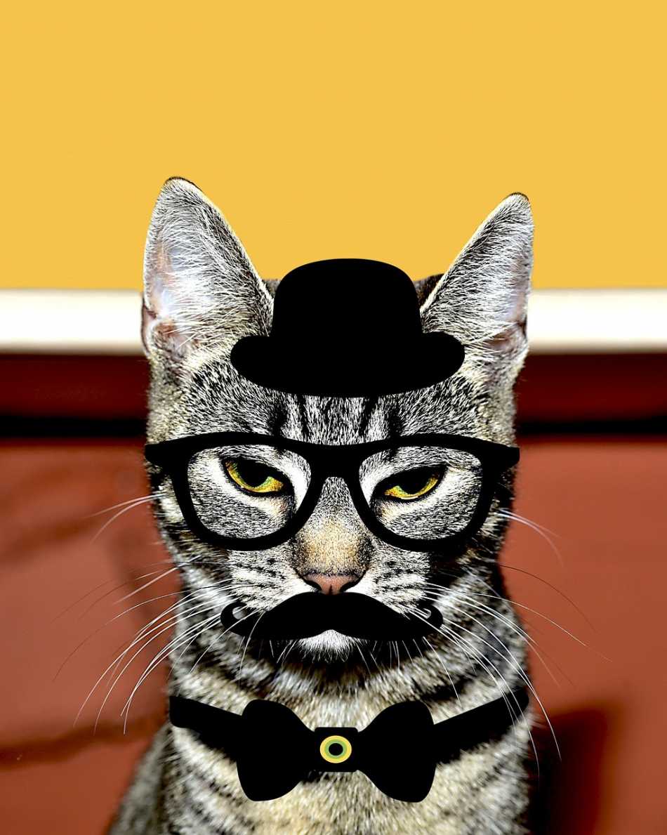 11 Things to Do with Old Glasses