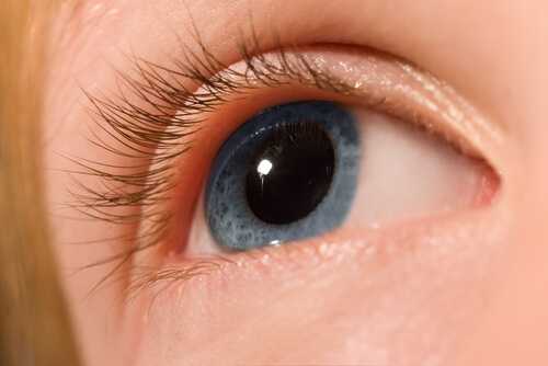 Dilated Pupils: What's Going On Behind Those Big Beautiful Eyes?
