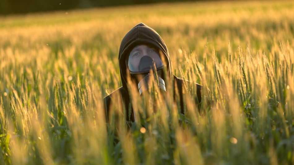 What is Seasonal Allergic Conjunctivitis
