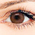Dark Hazel