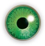 Gemstone Green