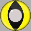 Yellow Cat Eye