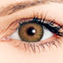 Pure Hazel