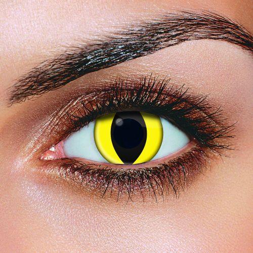 Yellow Cat Eye