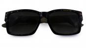 Tortoiseshell / Brown Tint