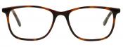 Tortoise Shell