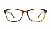 Tortoise Shell