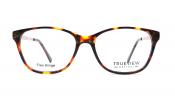 Tortoise Shell