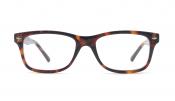 Tortoise Shell