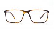 Tortoise Shell