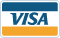 Pay with Visa