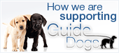 Guide Dogs